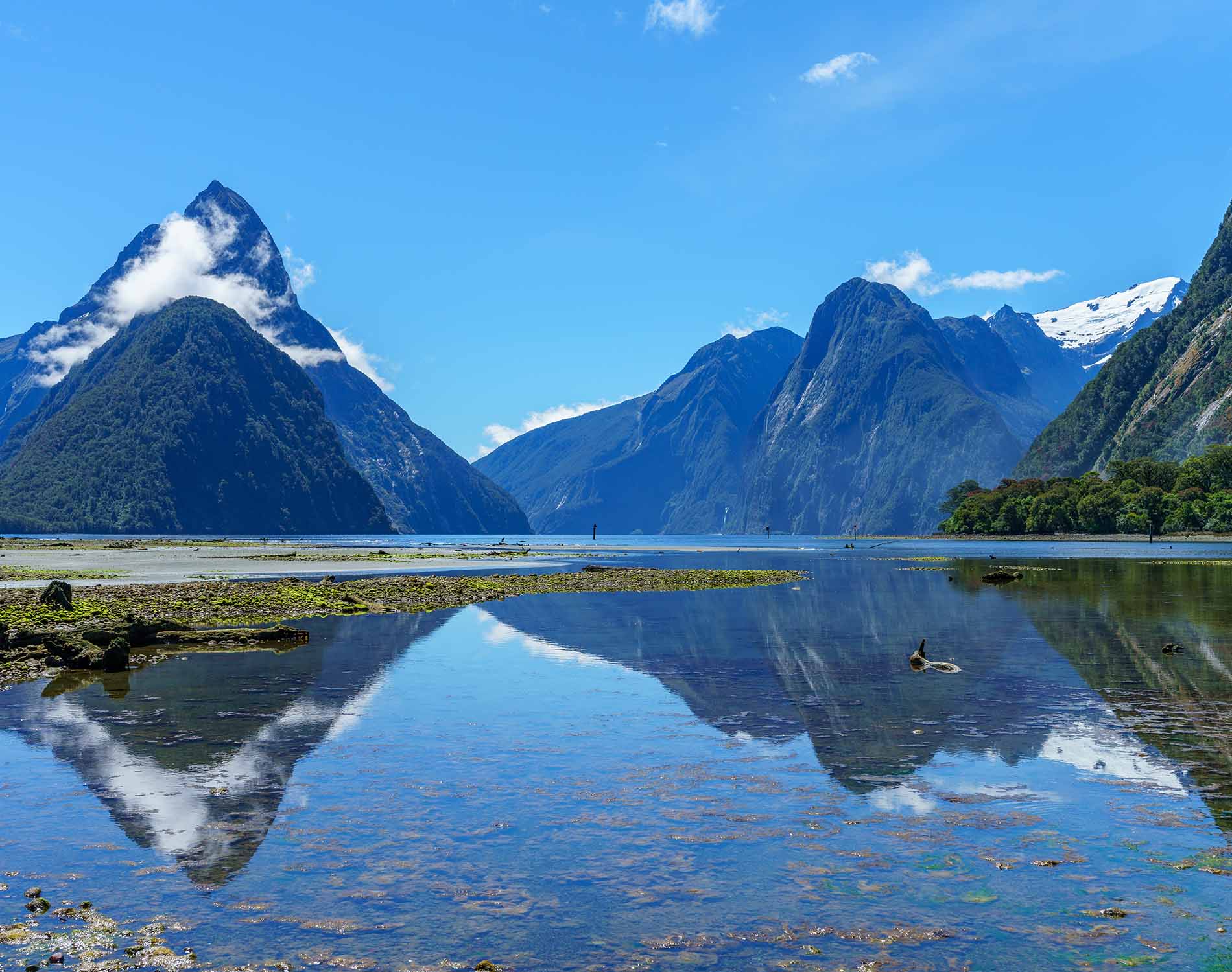 Doing Business in New Zealand