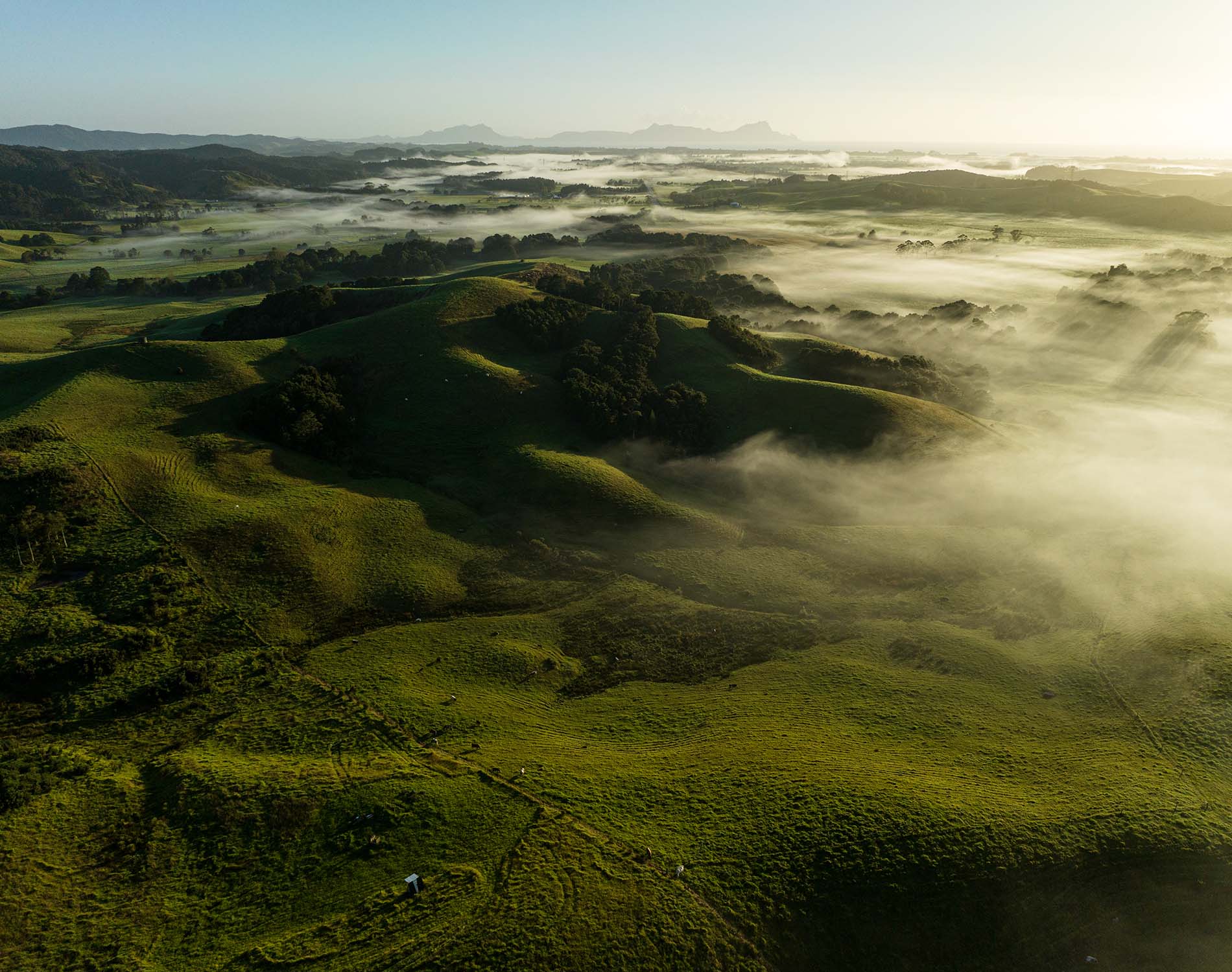Doing Business in New Zealand