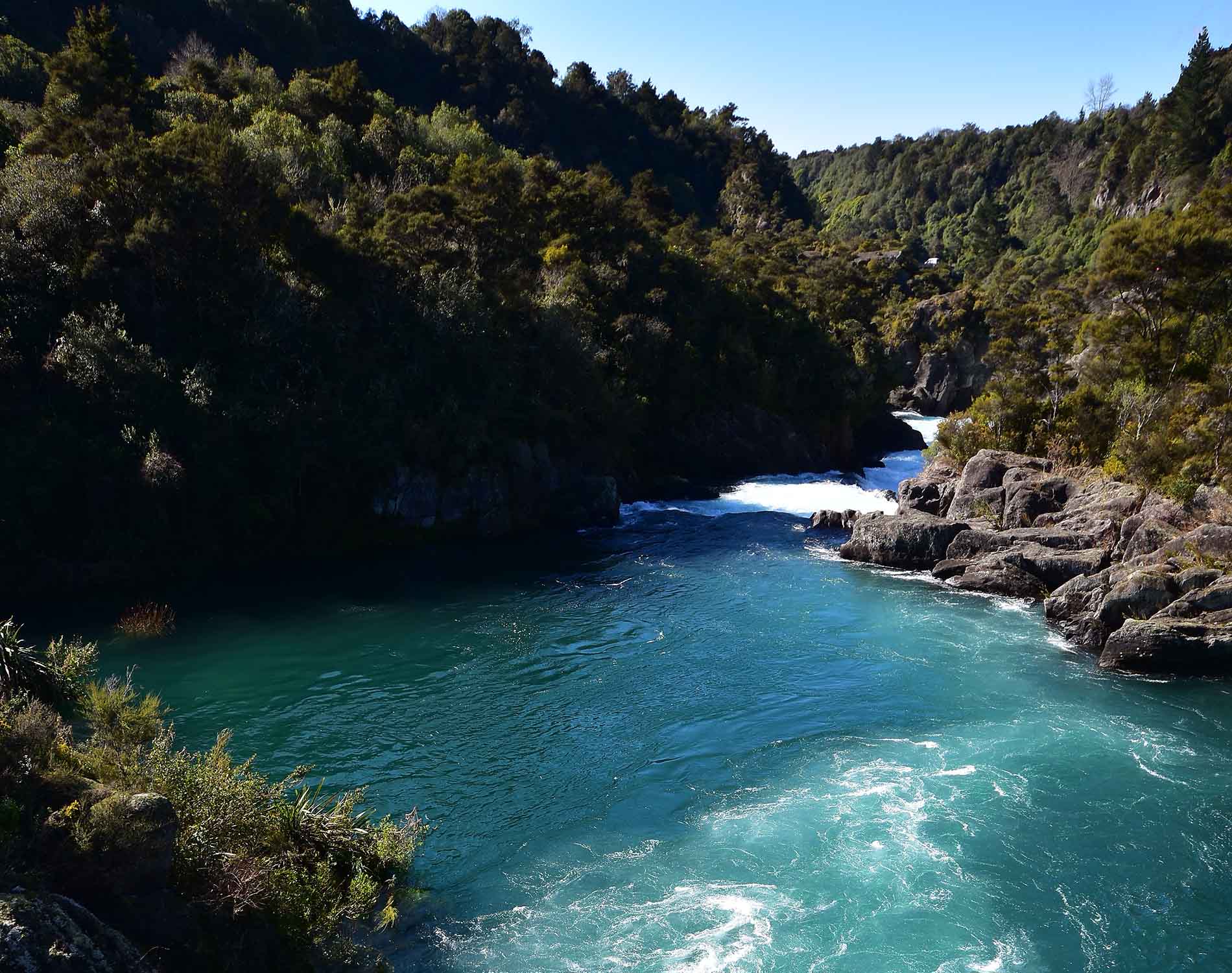 Doing Business in New Zealand