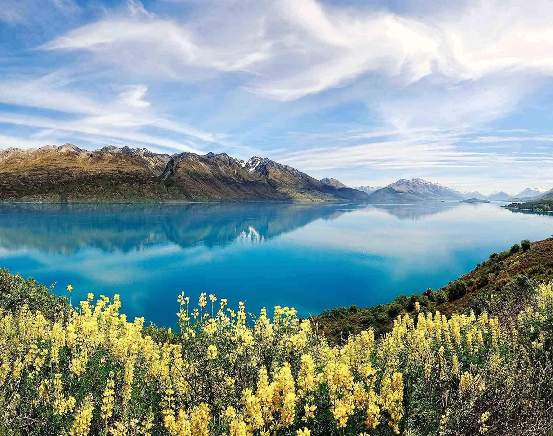 Doing Business in New Zealand