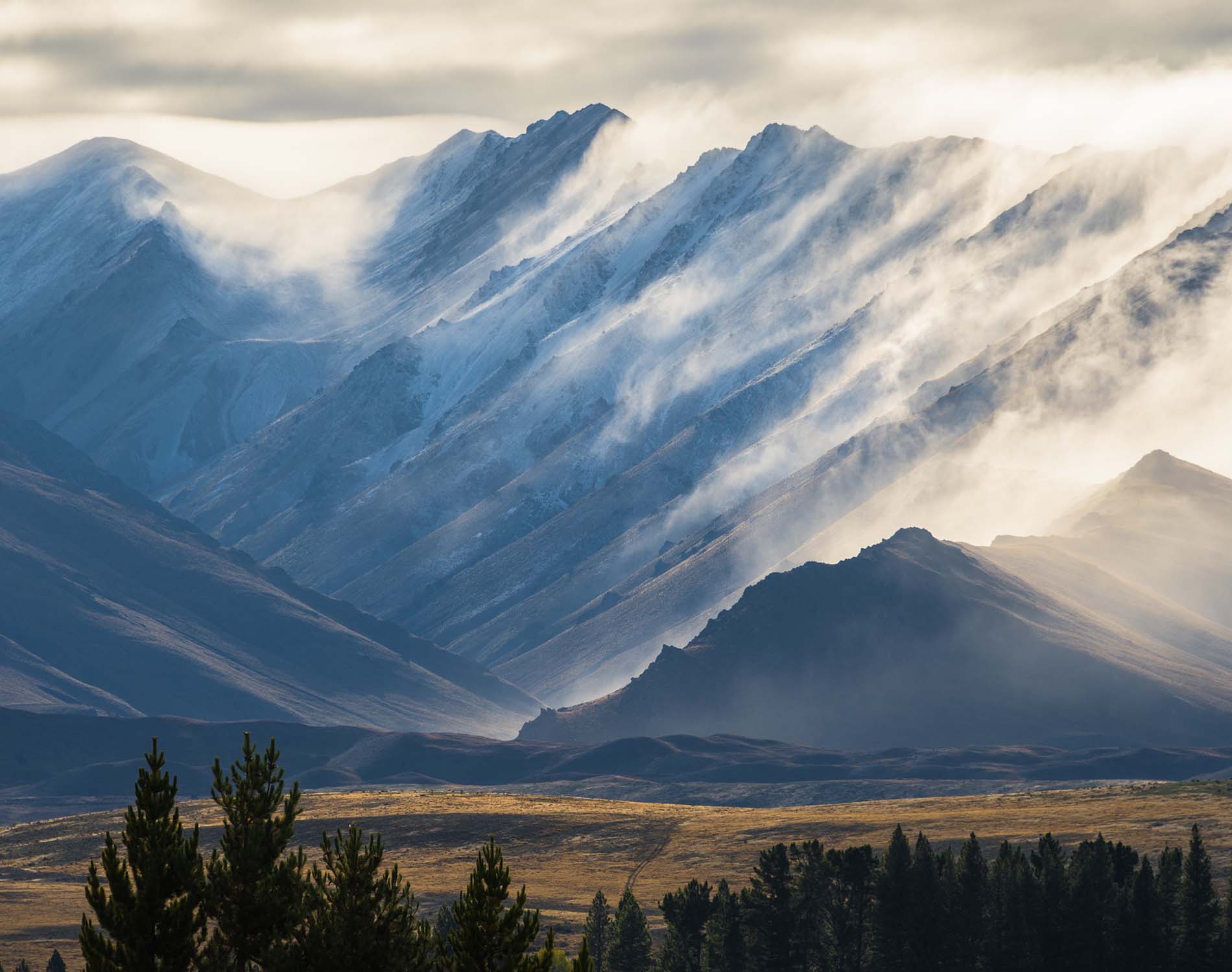 Doing Business in New Zealand