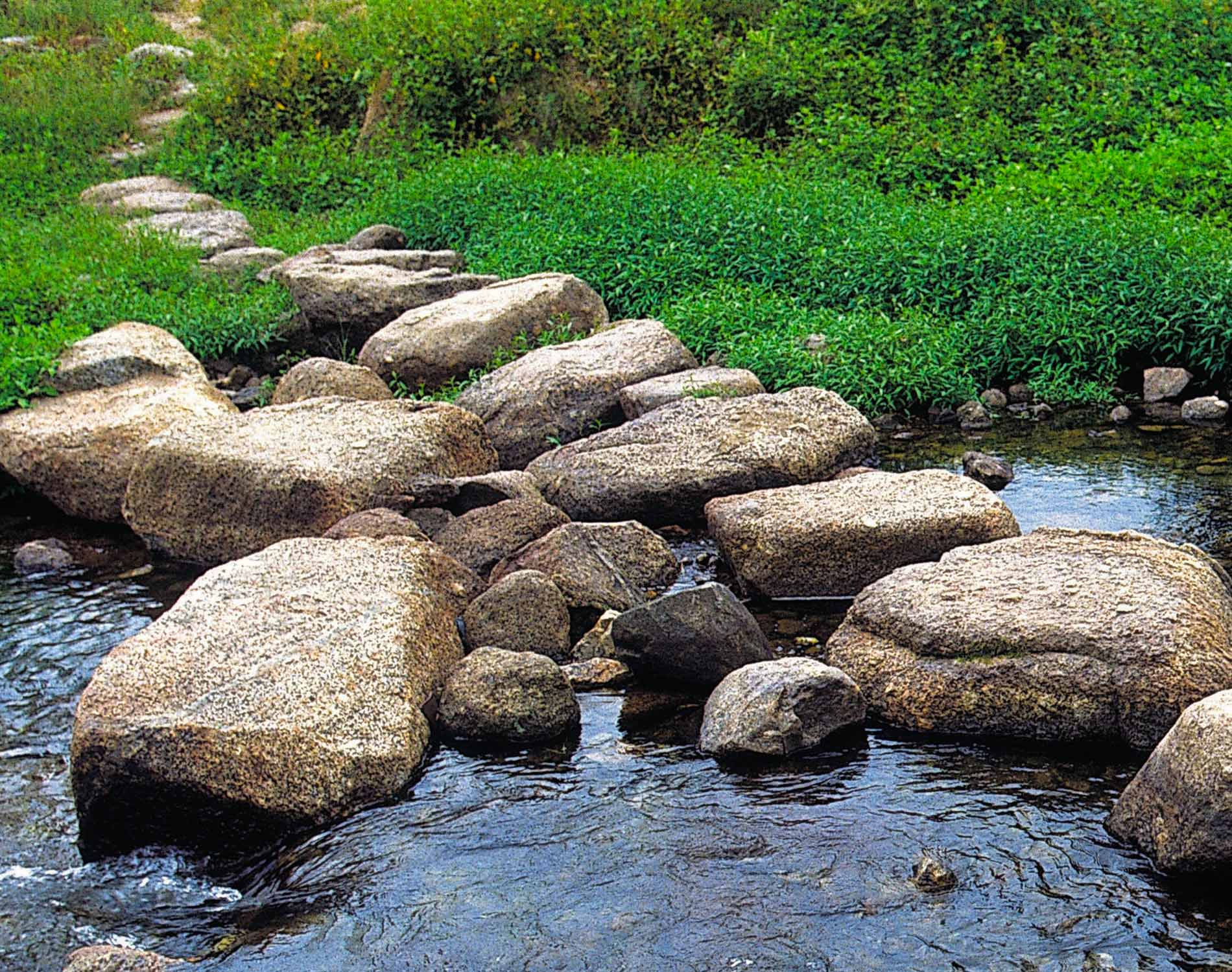Creek with rocks